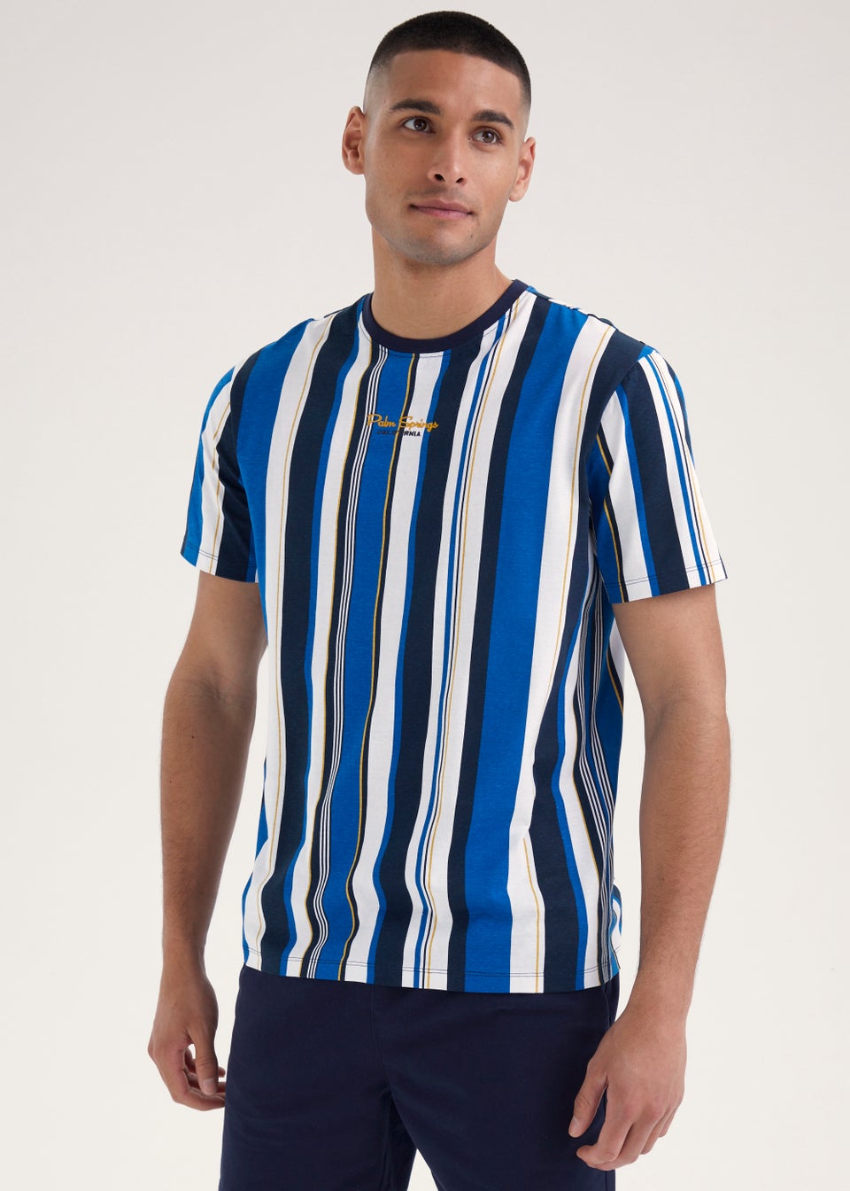 Cobalt Blue Vertical Stripe Print T-Shirt