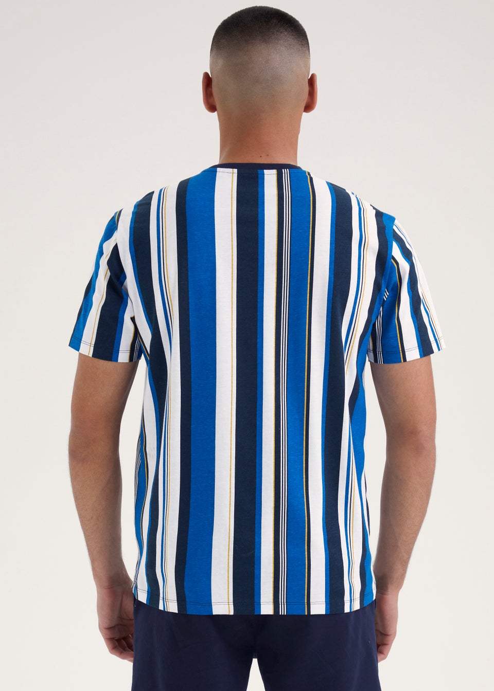 Cobalt Blue Vertical Stripe Print T-Shirt