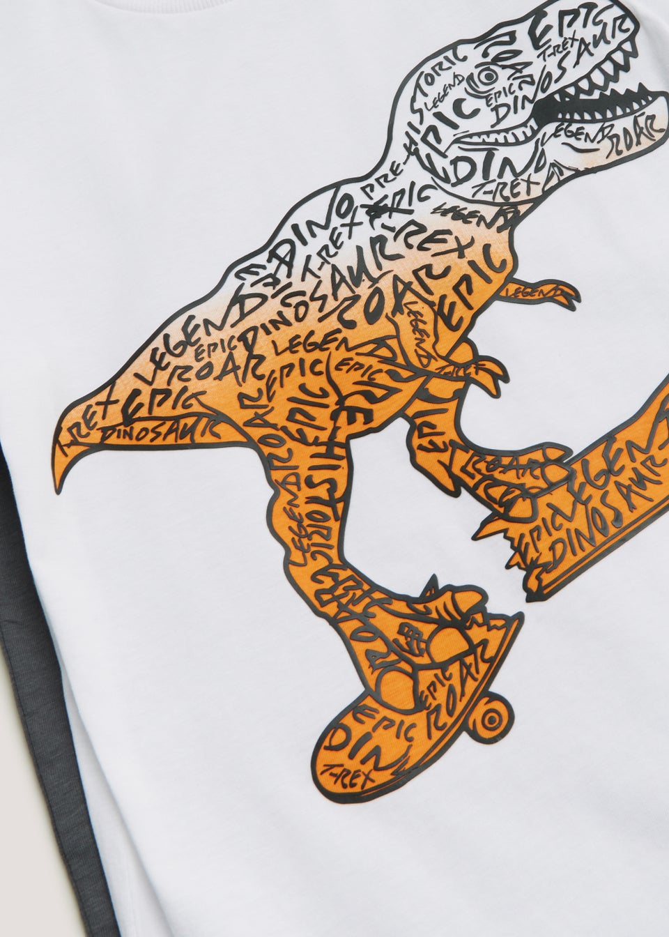 Boys 2 Pack Grey Dinosaur Print T-Shirts (4-13yrs)