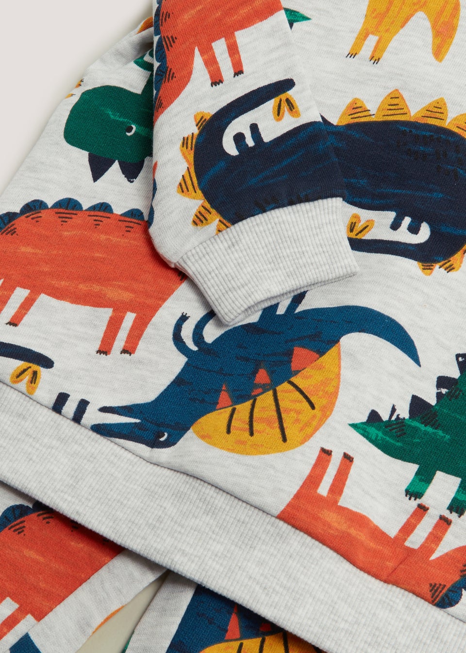 Matalan dinosaur case hot sale