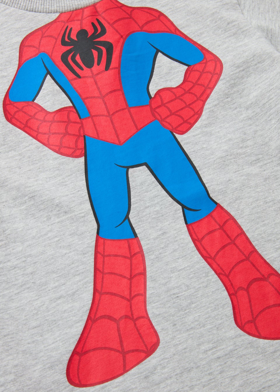 Boys Grey Spider-Man T-Shirt (9mths-6yrs)
