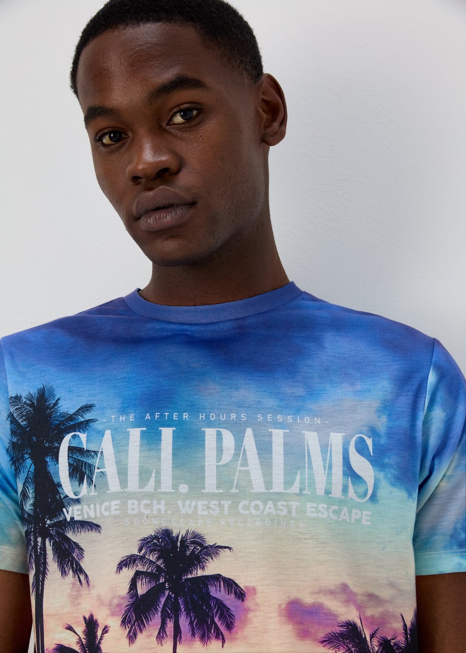 Blue LA Palm Tree Print T-Shirt