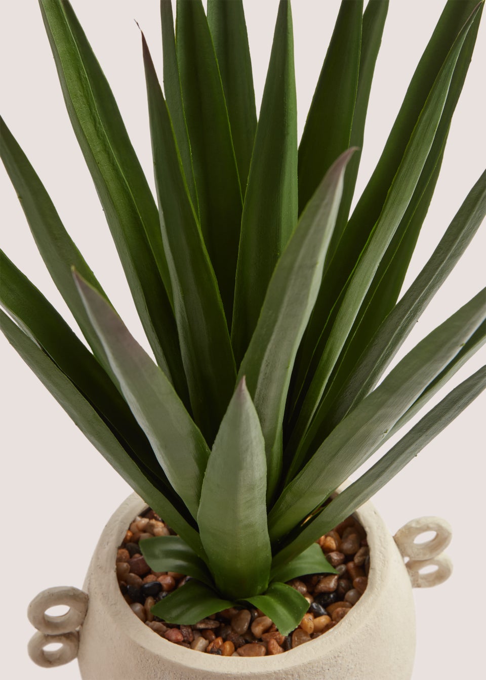 Plant in Rustic 2 Handle Pot (58cm)