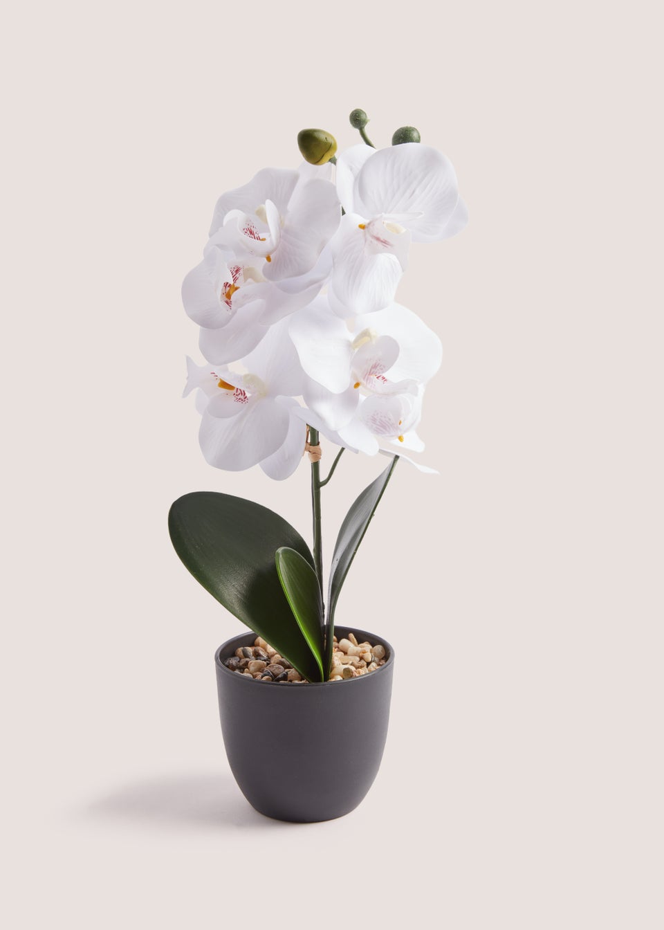 Mini Orchid Plastic Pot (38cm)
