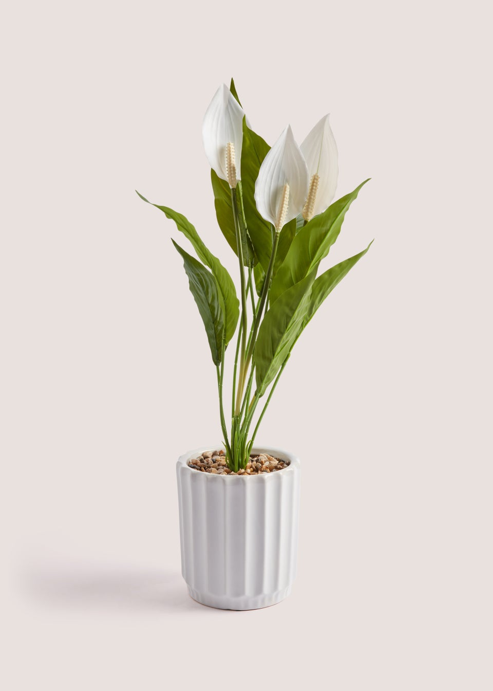 Peace Lily Ribbed Pot (62cm)