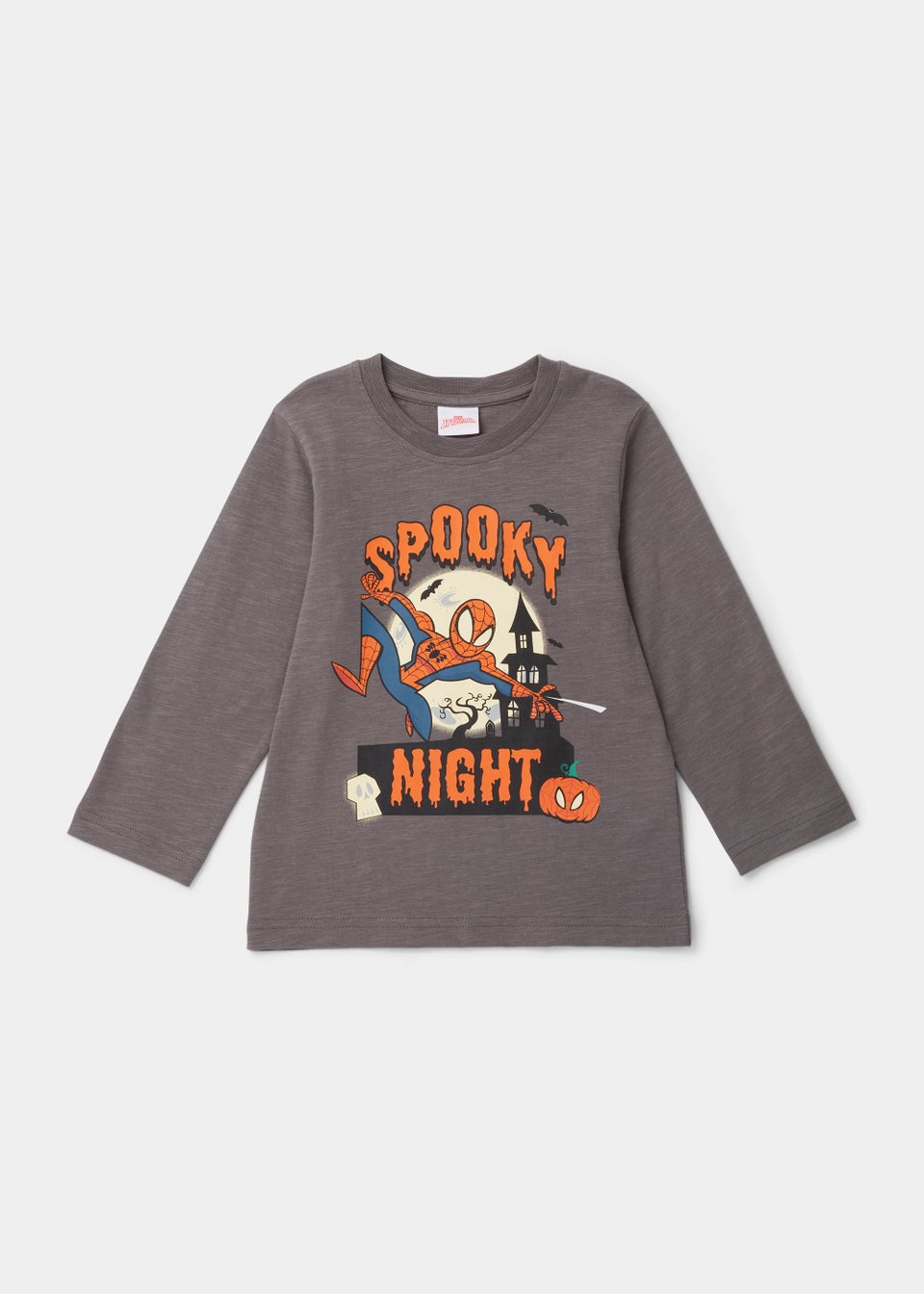 Kids Charcoal Halloween Spider-Man T-Shirt (3-8yrs)