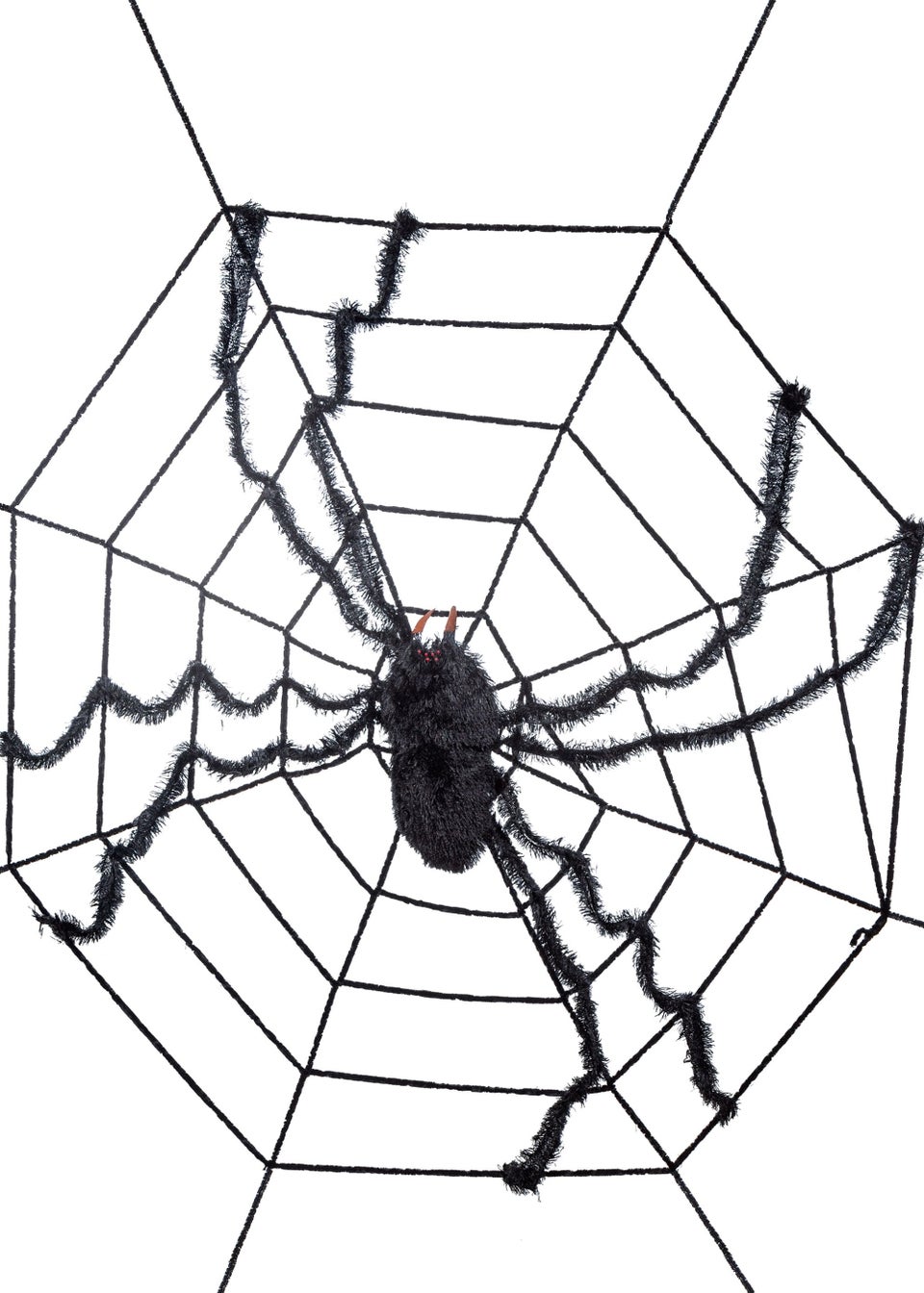 Black spider web store
