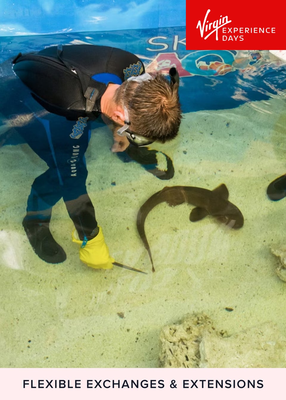 Virgin Experience Days Junior Snorkel with Baby Sharks at Skegness Aquarium