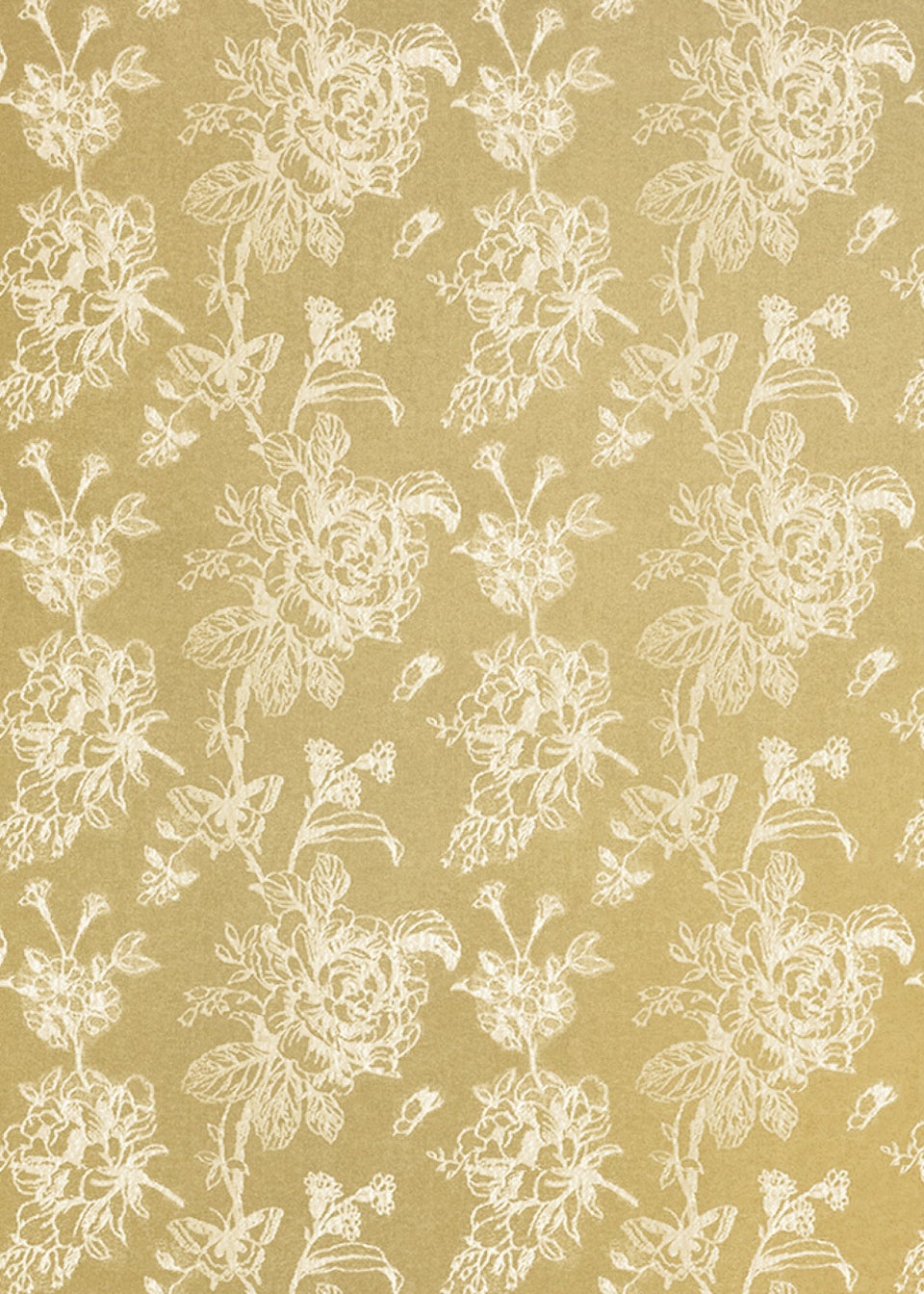 Dreams & Drapes Jasmine Cream Filled Cushion (43cm x 43cm)