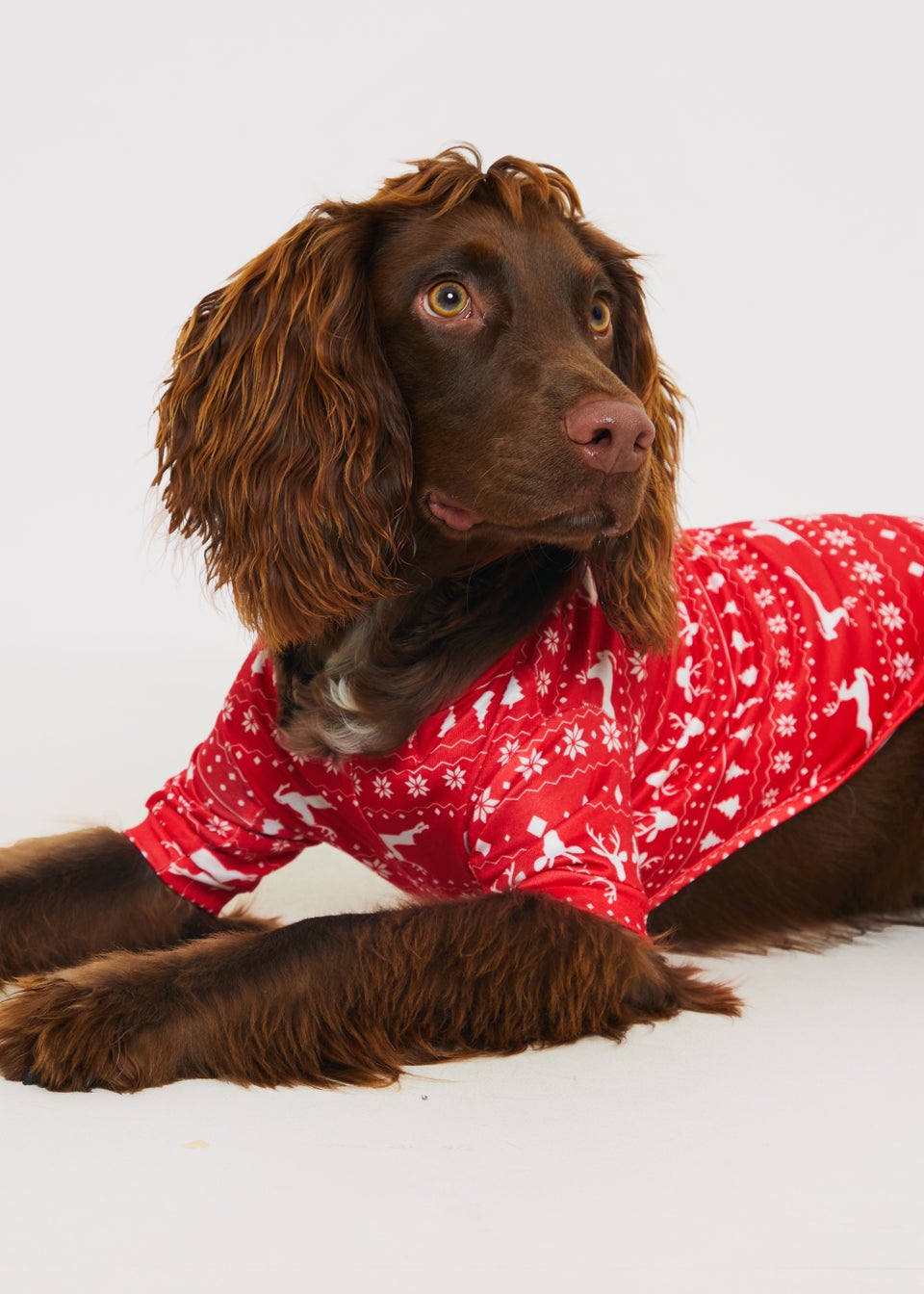In the Style Jac Jossa Red Reindeer Fair Isle Jersey Dog Coat