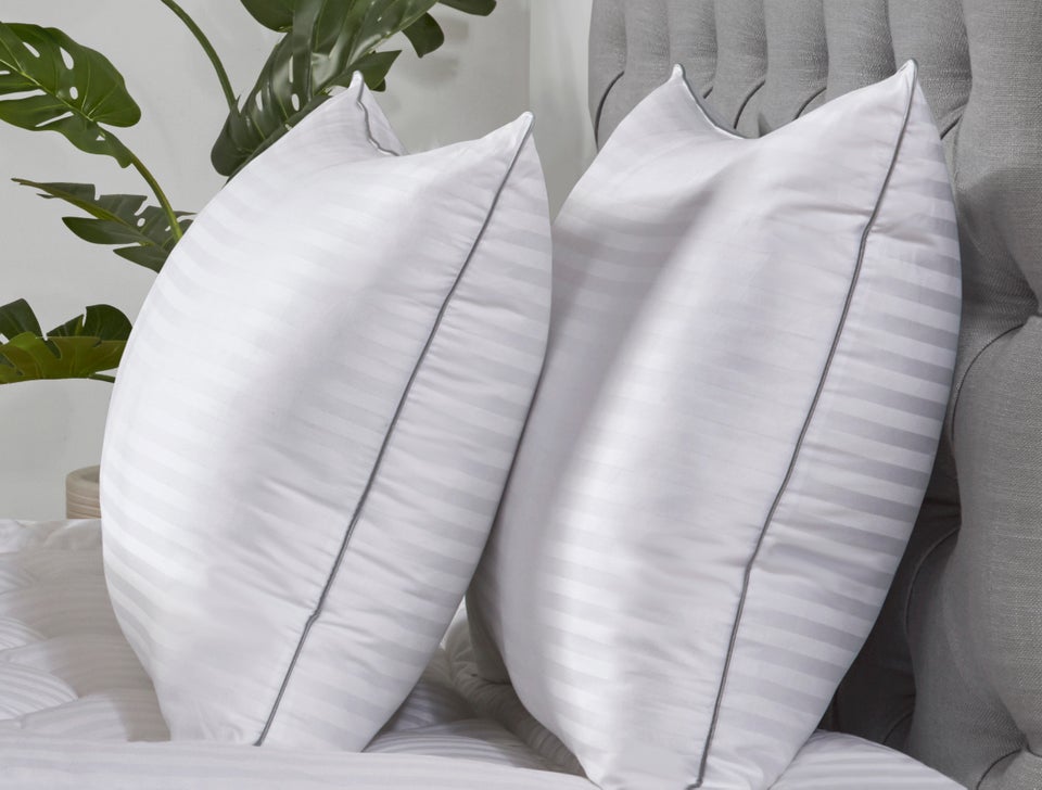 BHS Australian Wool Pillow (Medium to firm support)