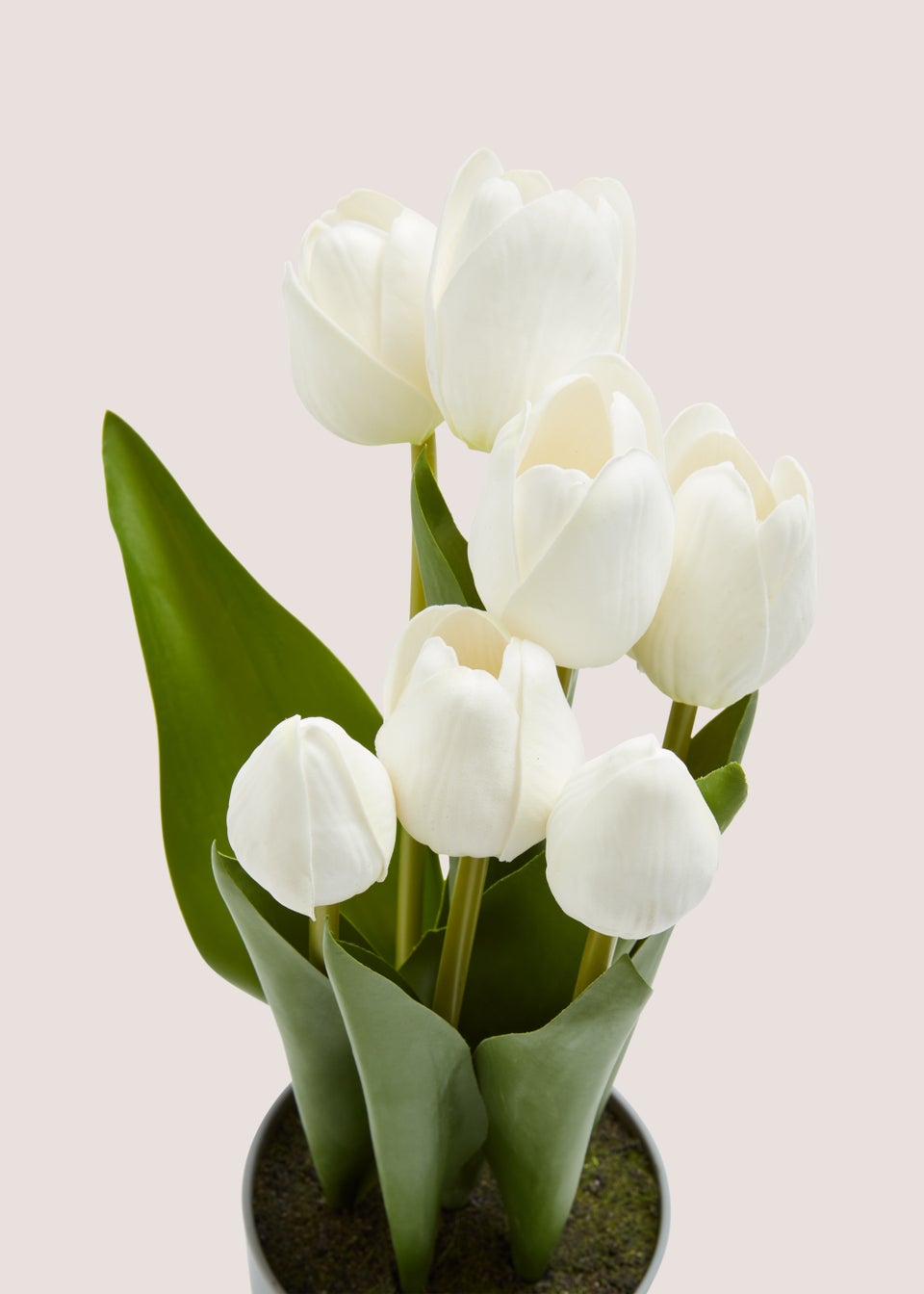Tulips in Grey Pot