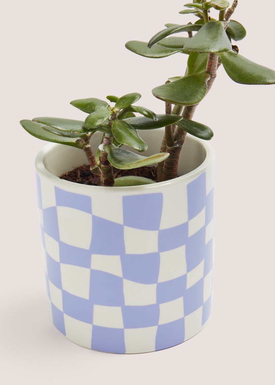 Lilac Checked Plant Pot (12cm x 12cm)