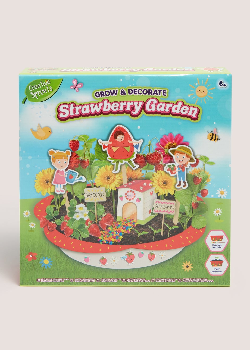 Make Your Own Strawberry Garden (7cm x 29cm x 29cm)