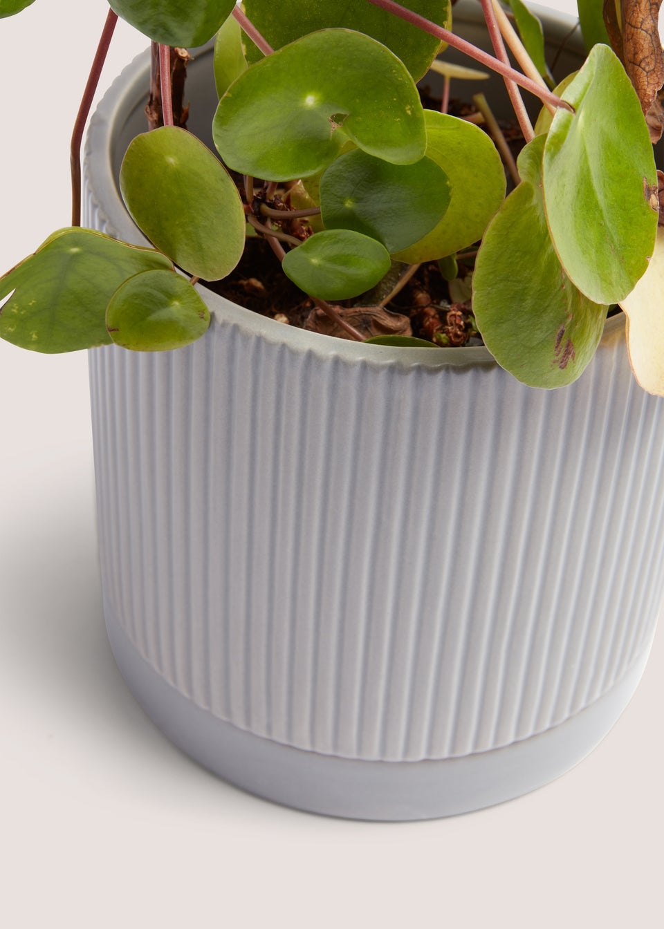 Grey Ribbed Ceramic Planter (15cm x 15cm x 15cm)
