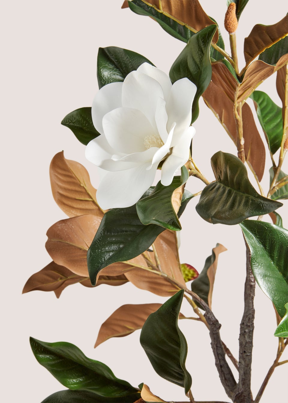 Magnolia Tree (120cm x 40cm x 40cm)