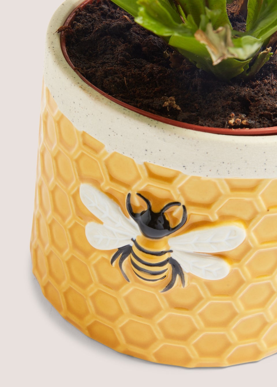 Yellow Bee Planter (13cm x 13cm x 10cm)