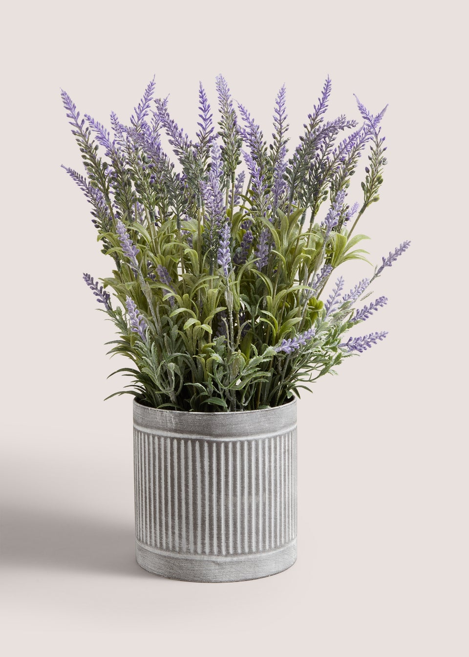 Lavender Plant In Metal Pot (45cm x 30cm x 28cm)