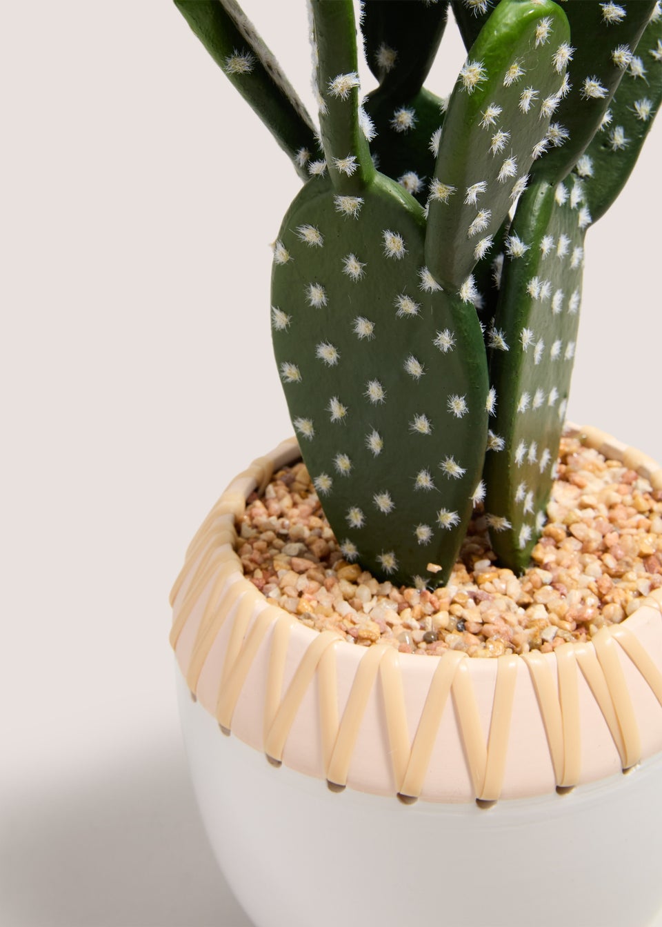 Cactus Plant (50cm x 22cm x 18cm)