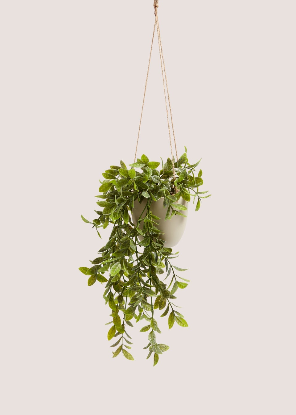 Hanging Plastic Plant Pot (17cm x 13cm x 13cm)