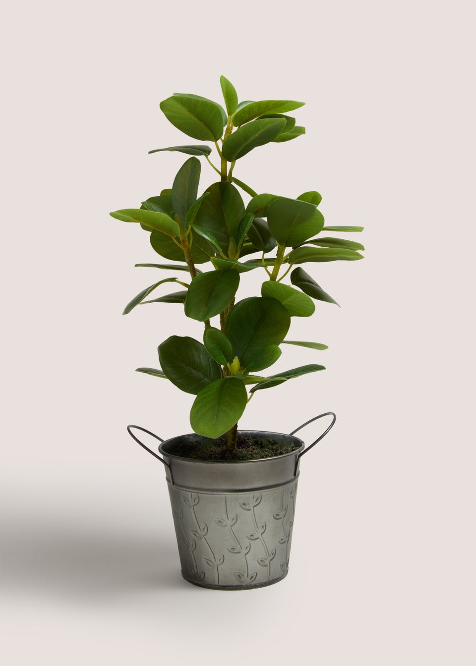 Leafy Plant in Silver Pot (18cm x 18cm x 42cm)