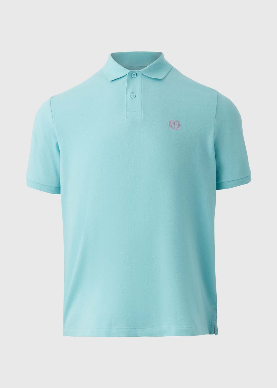 Pale Blue Solid Polo Shirt