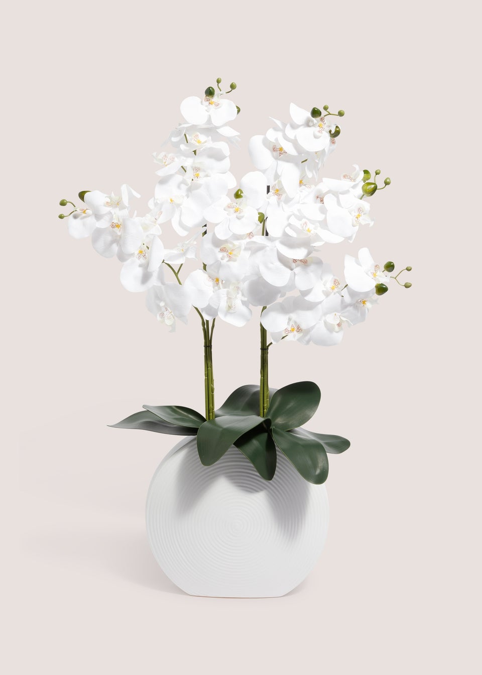Orchid In White Pot (33cm x 18cm x 88cm)