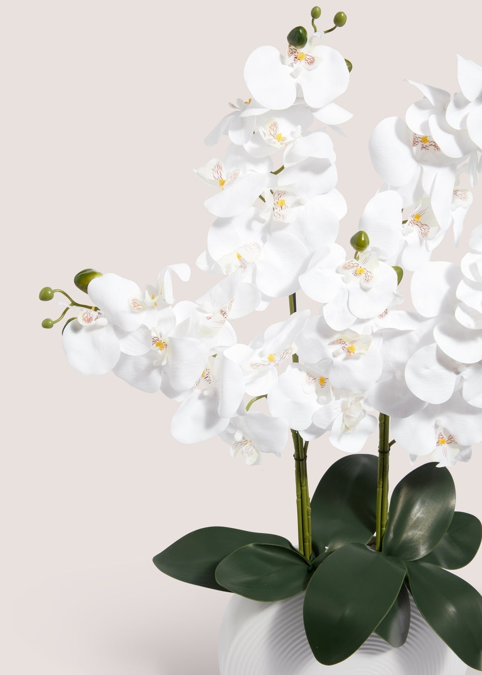 Orchid In White Pot (33cm x 18cm x 88cm)