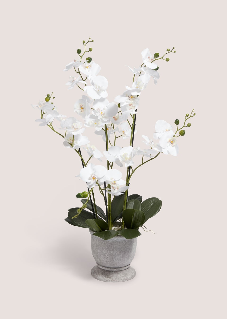 Plastic Orchid In Cement Urn Pot (24cm x 24cm x 76cm)