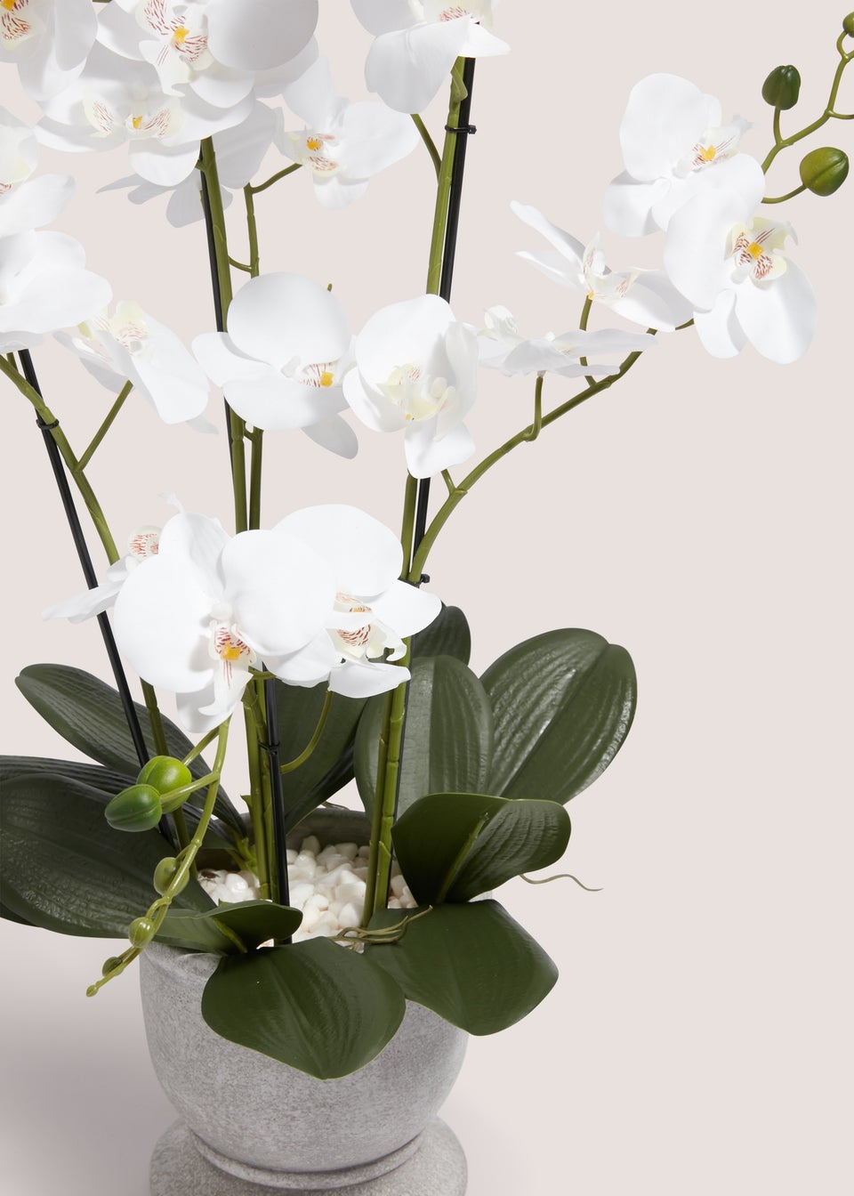 Plastic Orchid In Cement Urn Pot (24cm x 24cm x 76cm)