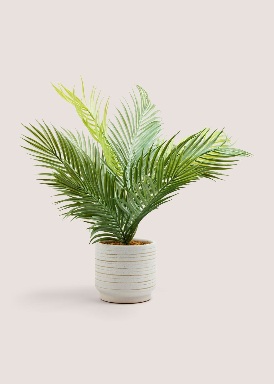 Palm Ribbed Ceramic Pot (60cm x 50cm x 50cm)
