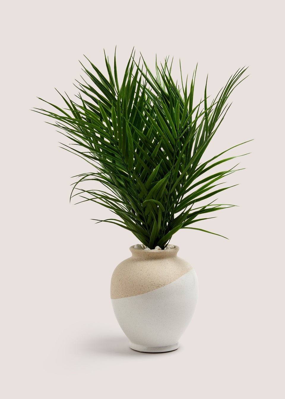 Palm In Dual Tone Urn Pot (16cm x 19cm)