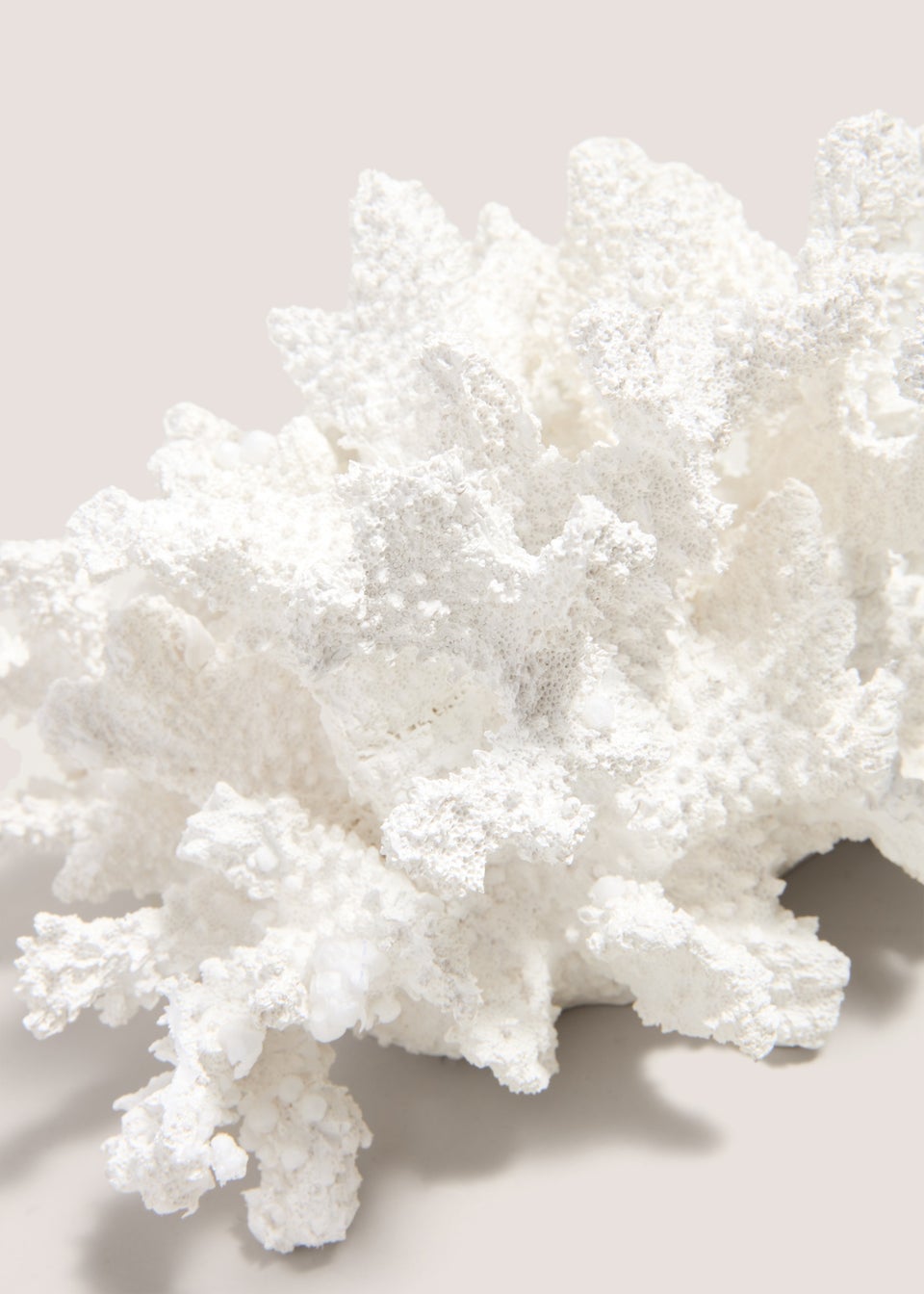 White Coral Ornament (15cm x 19.5cm x 27.9cm)
