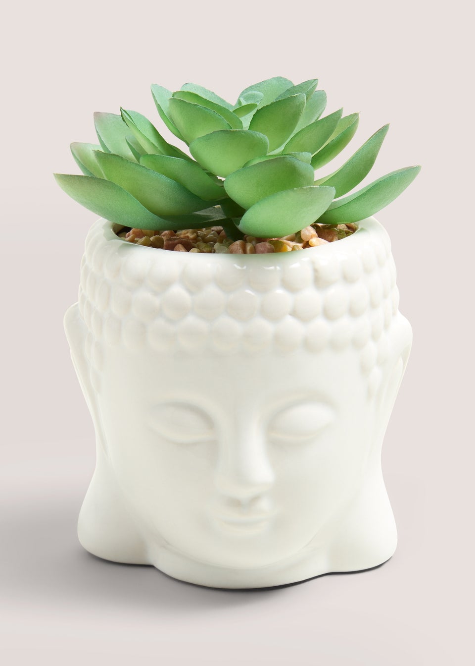 White Buddha Succulent Plant (11cm x 10cm x 10cm)