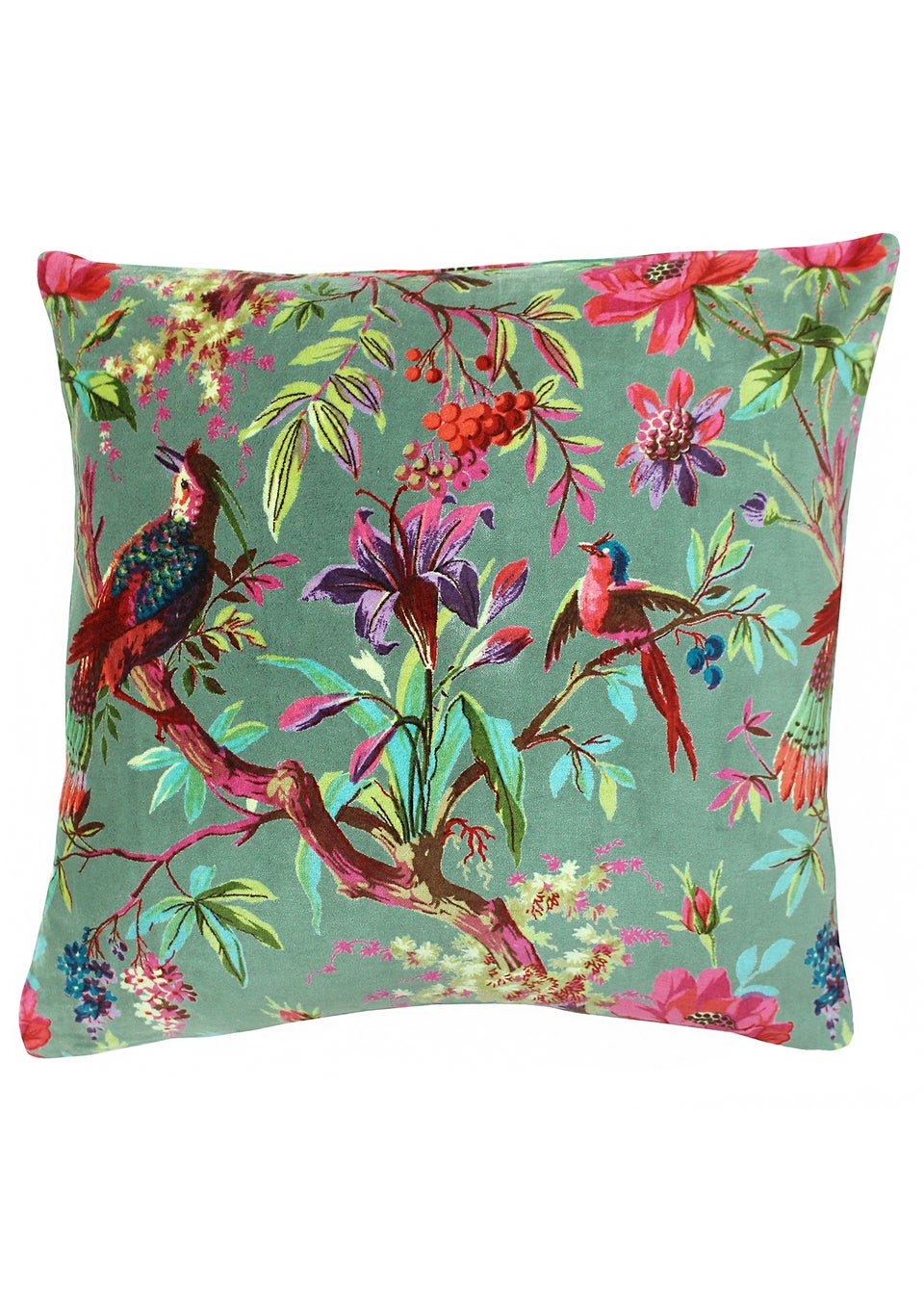 Paoletti Paoletti Cushions & Cushion Covers Matalan Matalan