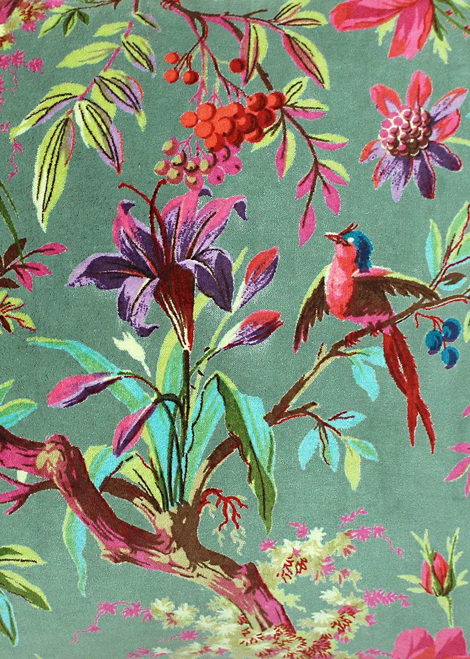 Paoletti | Paoletti Cushions & Cushion Covers – Matalan - Matalan