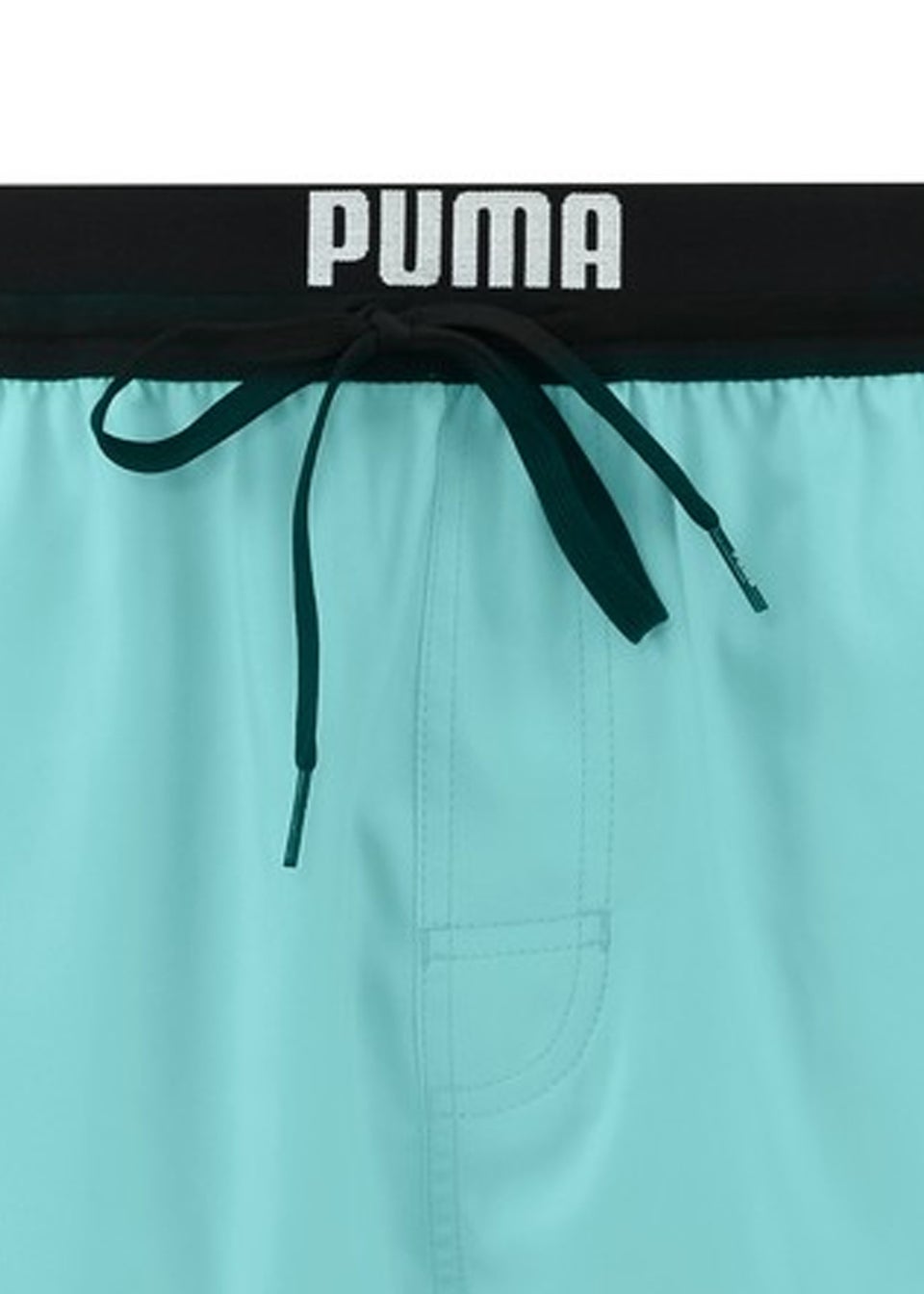 Puma Mint  Repeat Logo Swimming Shorts