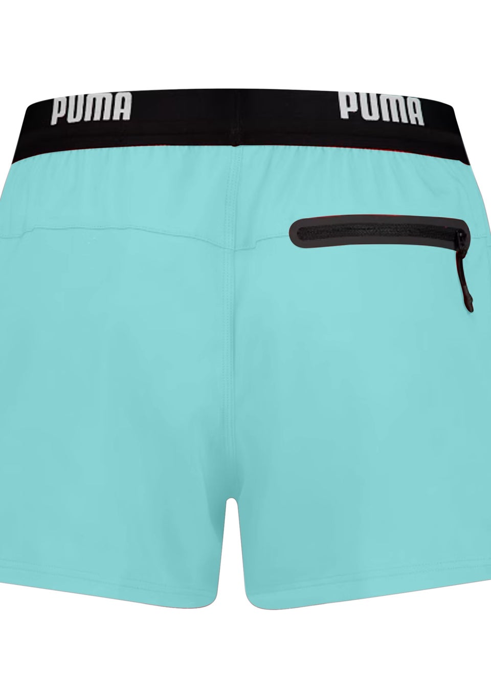 Puma Mint  Repeat Logo Swimming Shorts