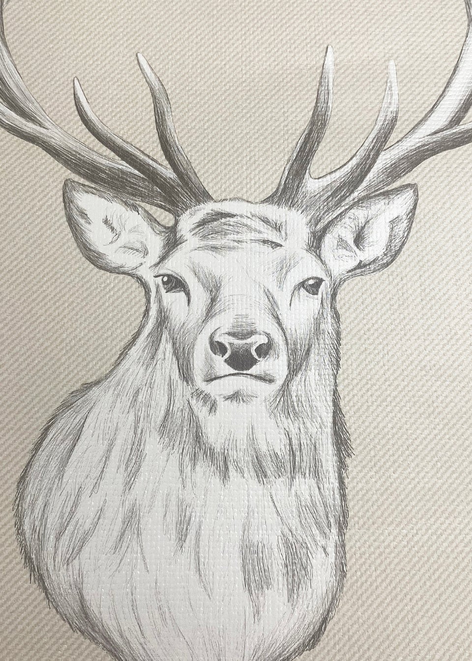 Catherine Lansfield Stag Cream
