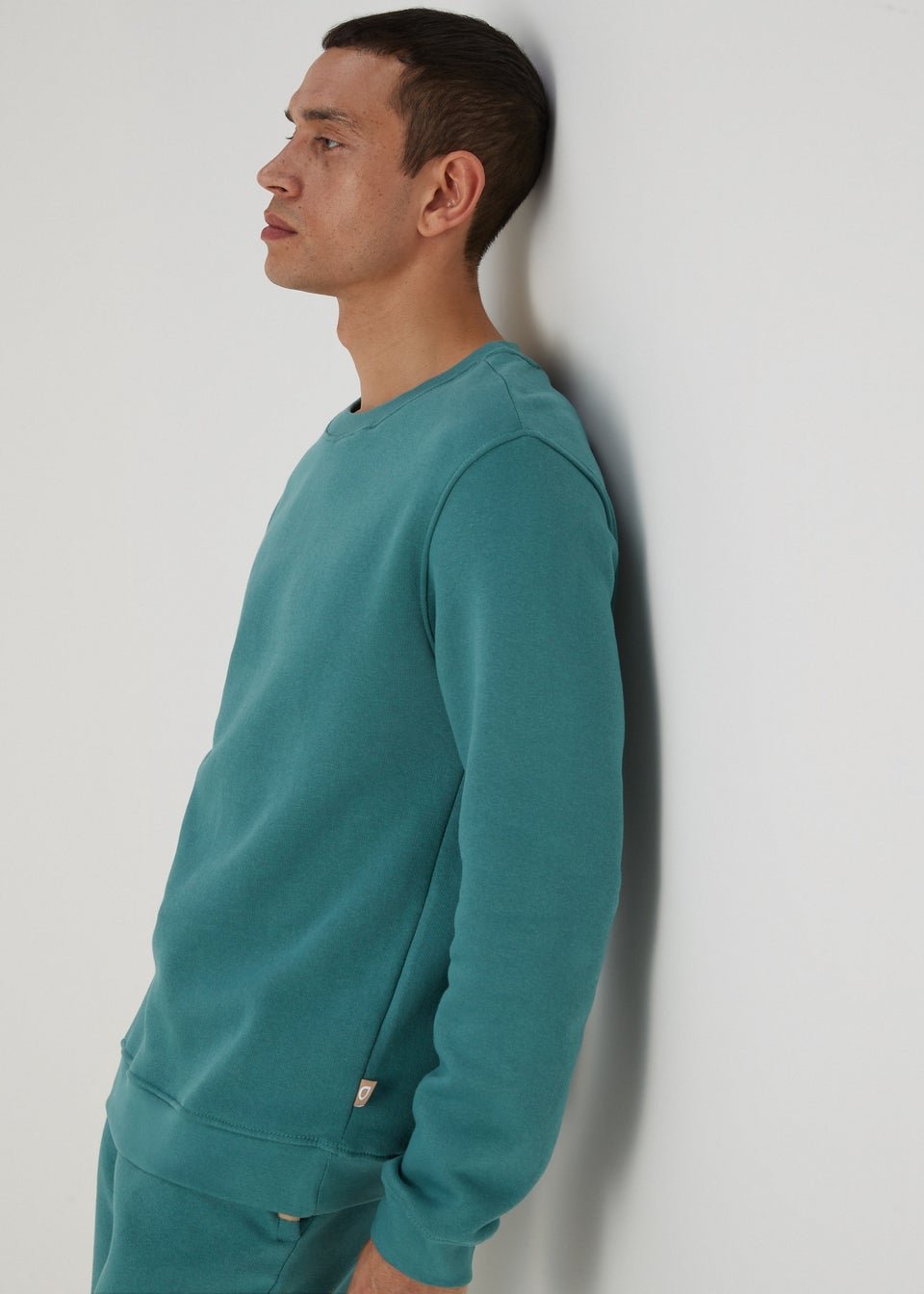 Sage crewneck online