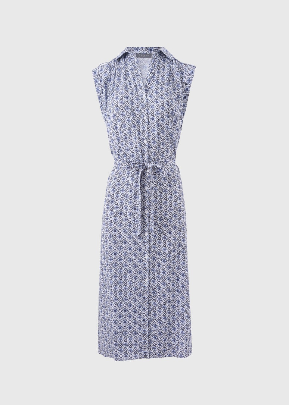 Blue Snake Print Midi Dress