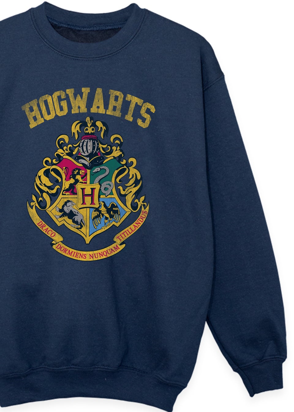 Harry Potter Kids Navy Filled Crest Varsity Printed Sweatshirt (3-13 yrs)