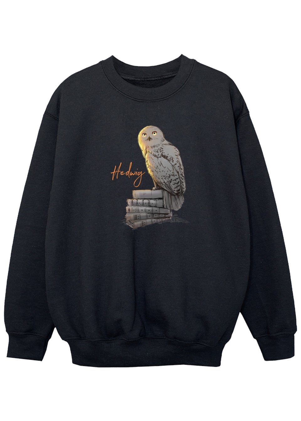Harry Potter Kids Black Hedwig Books Printed Sweatshirt (3-13 yrs)