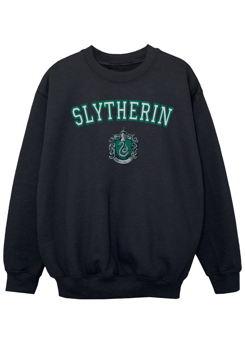 Harry Potter Kids Black Varsity Slytherin Crest Printed Sweatshirt (3-13 yrs)