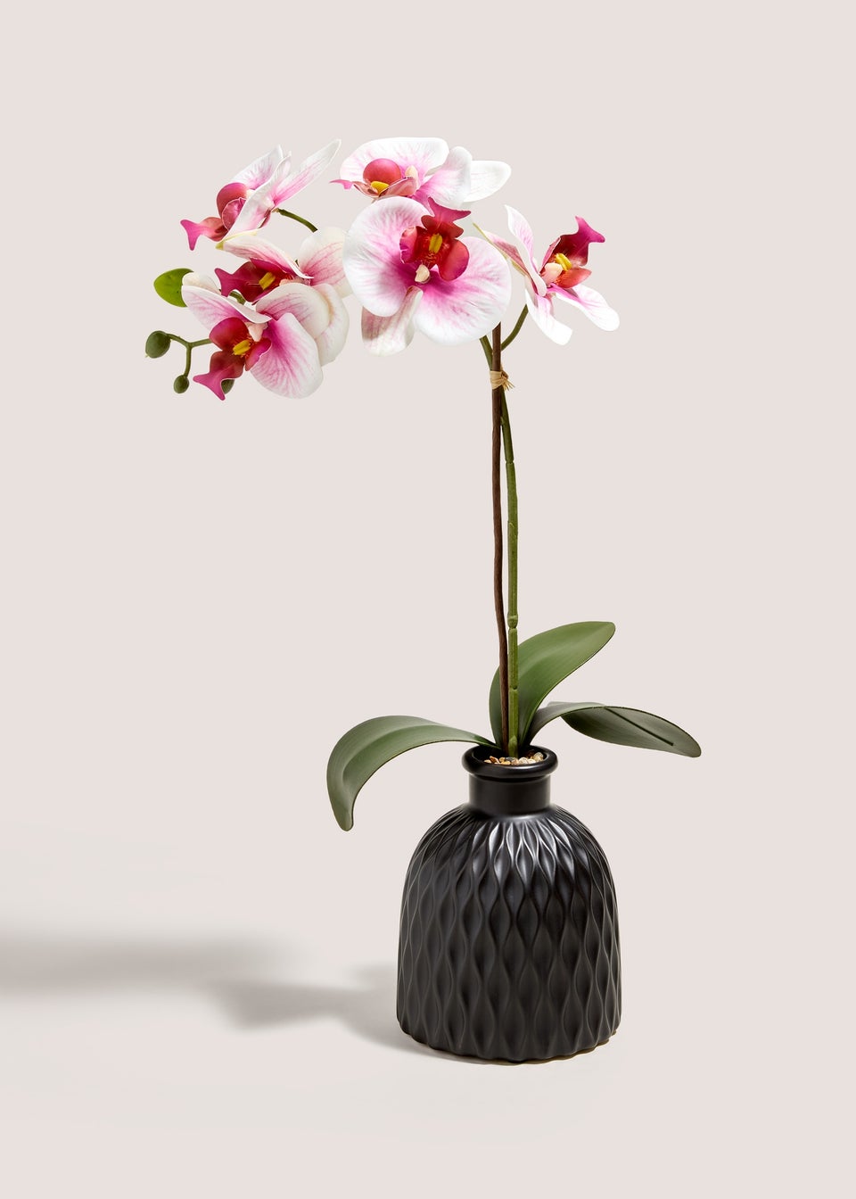 Pink Orchid In Black Pot