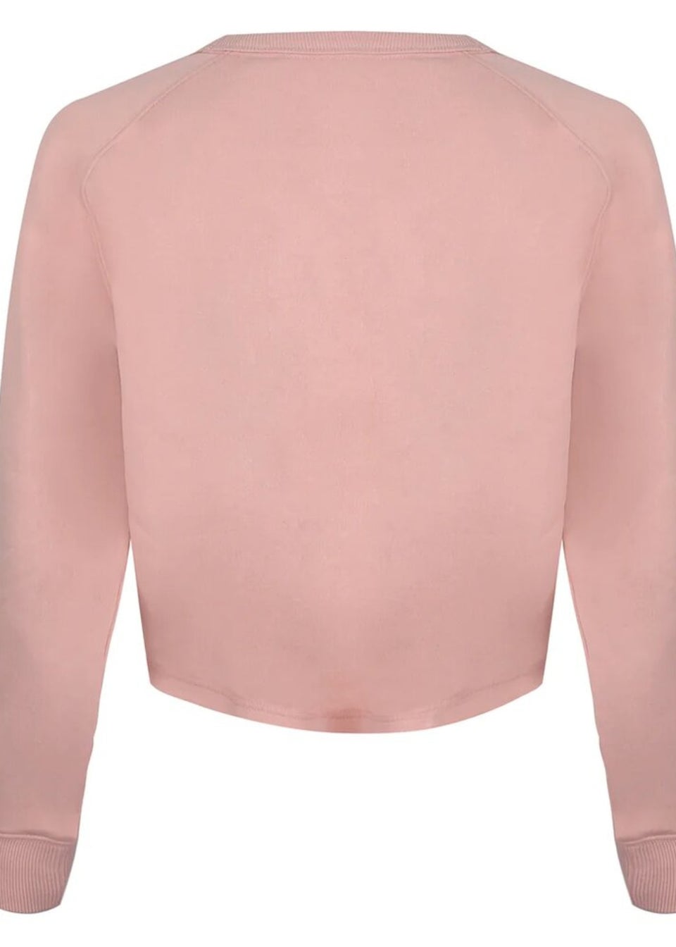 NASA Dusty Pink National Aeronautics Crop Sweatshirt