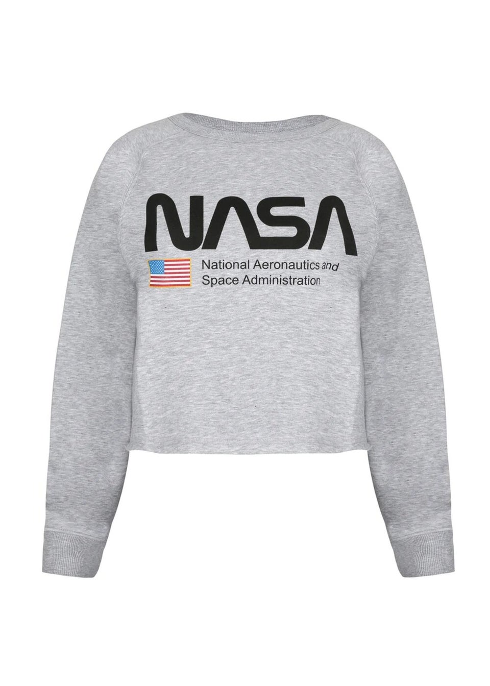 NASA Grey National Aeronautics Crop Sweatshirt