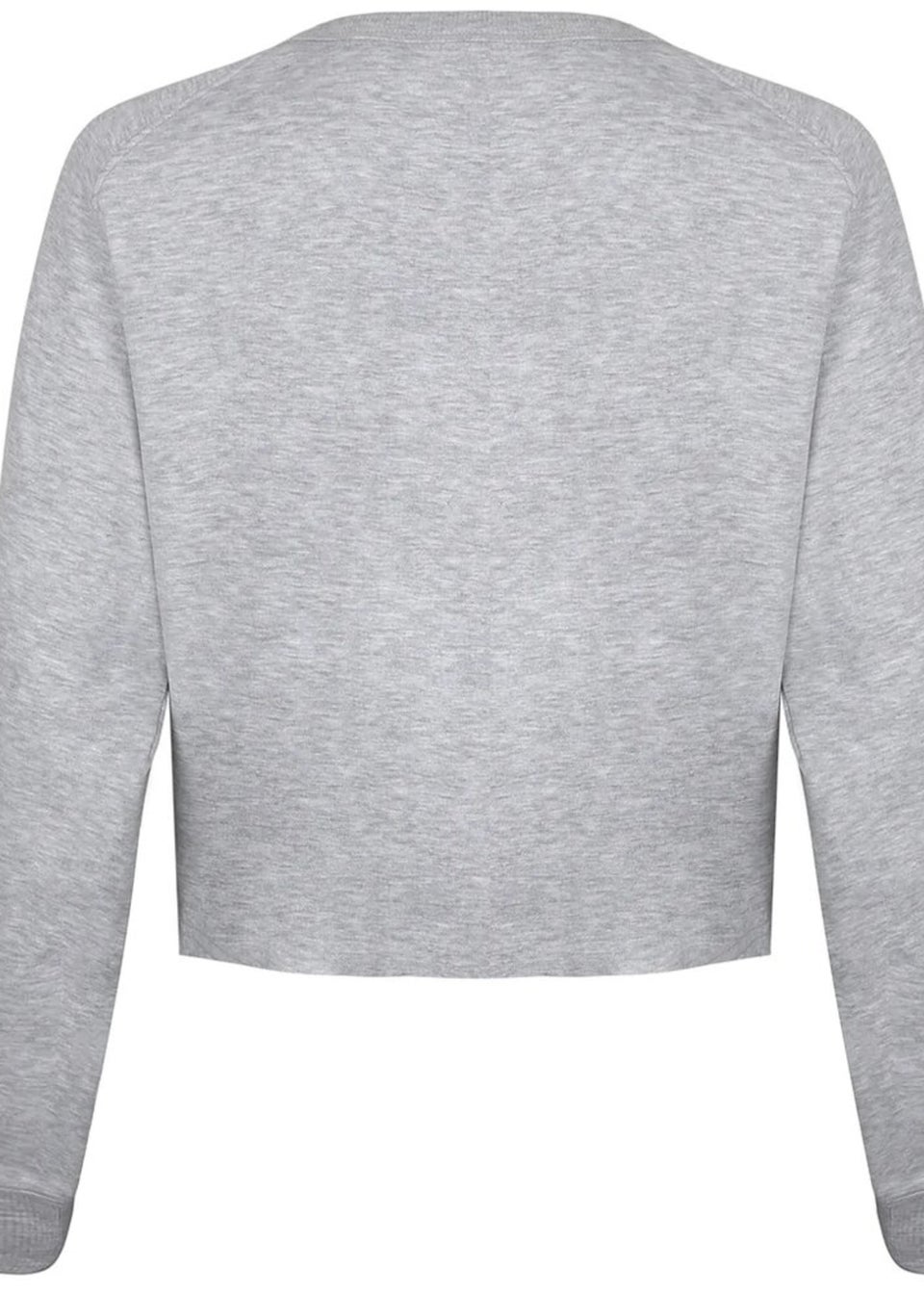 NASA Grey National Aeronautics Crop Sweatshirt
