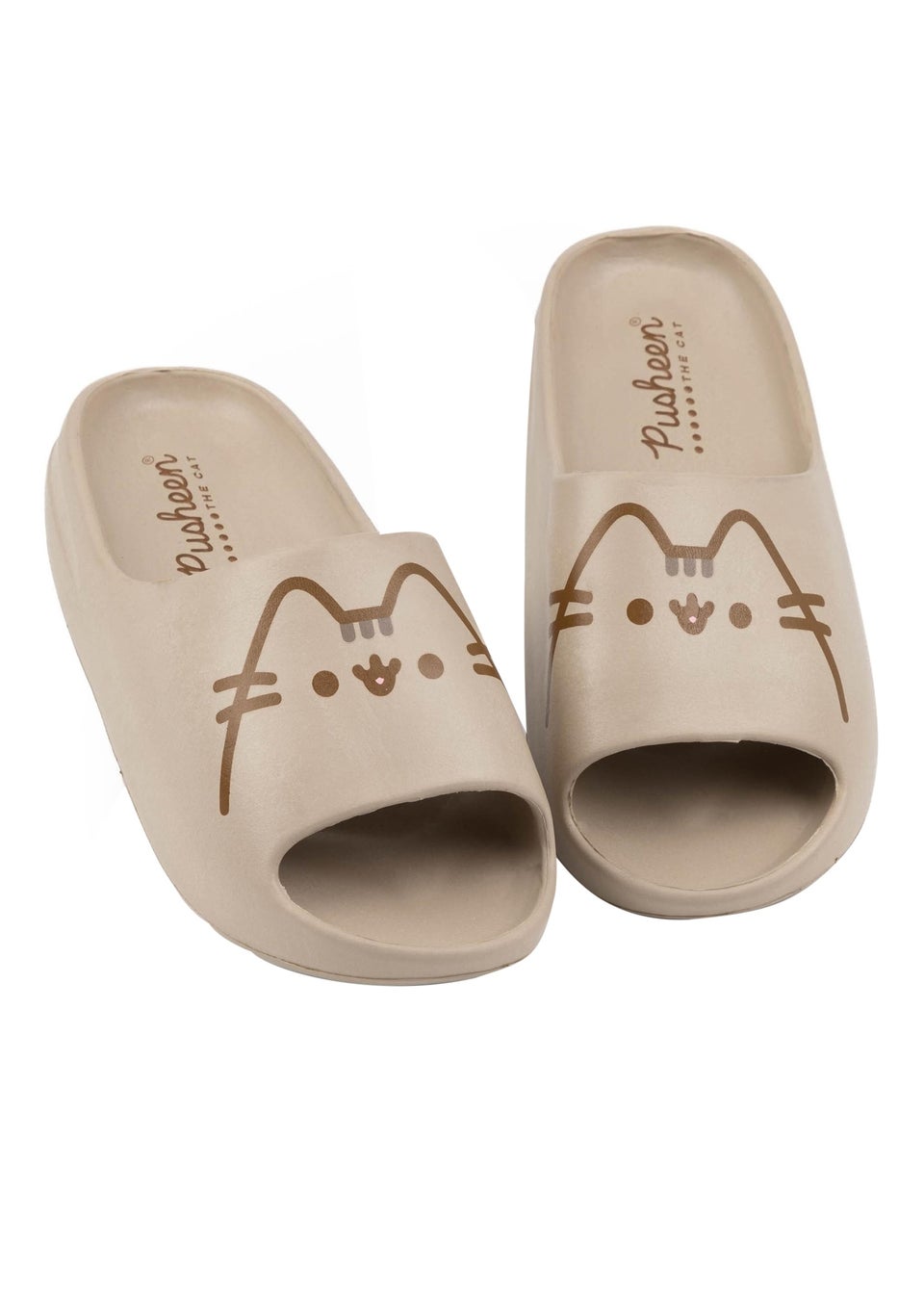 Pusheen Adults Brown Moulded Footbed Sliders
