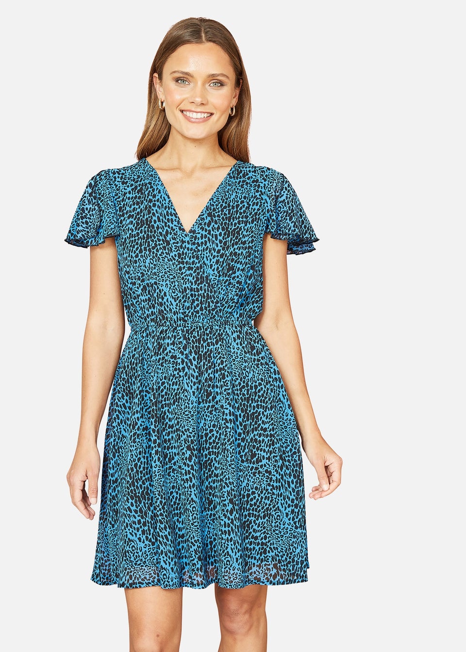 Mela Blue Leopard Print Skater Dress